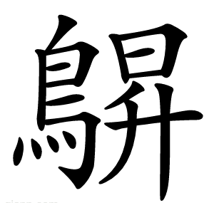 鵿
